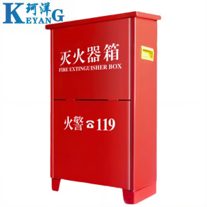珂洋 灭火器箱 8KG*2 个