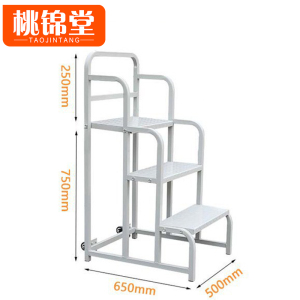 桃锦堂移动梯