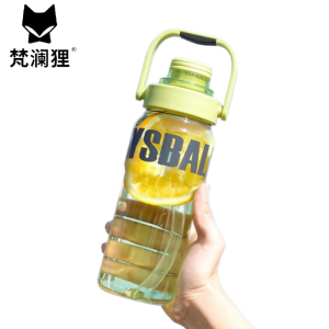 梵澜狸运动杯子H5 个