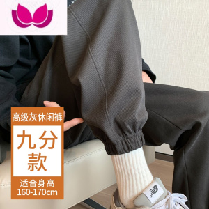 七斓裤子男士宽松百搭休闲裤潮流灰色束脚卫裤大码加绒男款运动裤