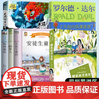 2024年深圳市罗湖区小学三年级上册暑假课外阅读书籍 鼹鼠的月亮河 水妖喀喀莎 了不起的狐狸爸爸 安徒生童话 稻草人 格