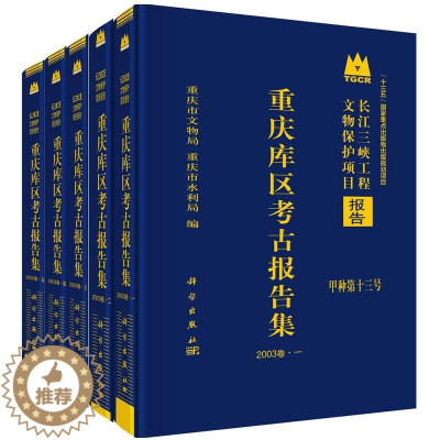 [醉染正版]重庆库区考古报告集(2003卷)(全5册)9787030633170 重庆市文物局科学出版社