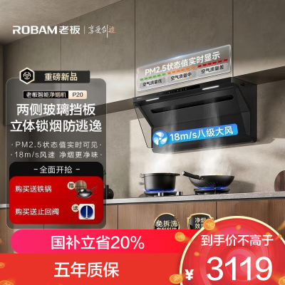 老板(Robam)星辰欧式顶吸抽油烟机净烟机P2.5净味吸油烟机国家补贴20%以旧换新搭配燃气灶22A7S油烟机