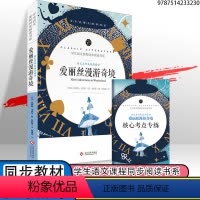 爱丽丝漫游奇境 [正版]爱丽丝漫游奇境记书原版卡罗尔原著完整版 爱丽丝梦游仙境书教育小学生上下册课外读物儿童文学长春人民