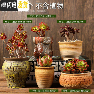 三维工匠多肉花盆陶瓷粗陶透气复古老桩肉肉创意小盆批发 套装六十三 中等花盆容器