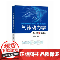 气体动力学原理和方法 王洪伟人民邮电出版社9787115653895正版书籍