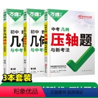 几何进阶❤[模型+辅助线+压轴题]3本 初中通用 [正版]数学压轴题2024初中七年级动点专项训练几何函数精讲精练八年级