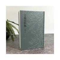 音像王冕史料集周伟锋