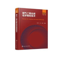 音像烟气二氧化碳化学吸收技术方梦祥,王涛,张翼