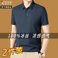 啄木鸟官方旗舰店男士短袖爸爸夏t恤2025新款冰丝商务中年polo衫