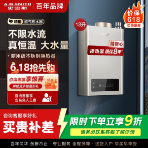 AO史密斯 13升燃气热水器 不锈钢换热器8年包换 负压燃烧更安全 精控恒温 家用5系列