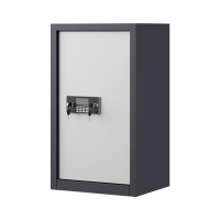 东升顺指纹电子保密柜钢制密码文件柜档案柜办公柜矮柜保密资料柜单门灰白:电子锁