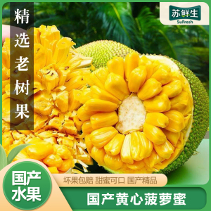 [苏鲜生]海南黄肉菠萝蜜 新鲜水果 香甜可口 1个 净重15-20斤