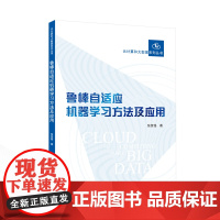 鲁棒自适应机器学习方法及应用 张佳铭 著 9787307245297 云计算和大数据系列丛书 武汉大学出版社