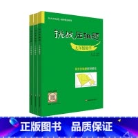 3册套装 初中通用 [正版]挑战压轴题 七年级八年级九年级数学 初中同步系列 同步压轴题精讲精练 7年级8年级9年级 马