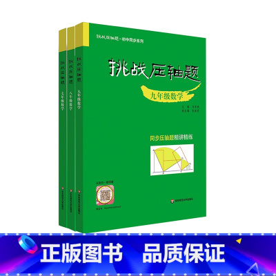 3册套装 初中通用 [正版]挑战压轴题 七年级八年级九年级数学 初中同步系列 同步压轴题精讲精练 7年级8年级9年级 马