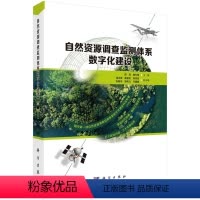 [正版]自然资源调查监测体系数字化建设