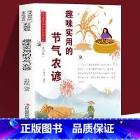 [正版] 趣味实用的节气农谚 流光溢彩的中华民俗文化 彩图版 二十四节气我国劳动人民独创的文化遗产 反映季节的变化影响