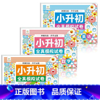 三科套装 小学升初中 [正版]全3册 六年级初中通用语文数学英语冲刺升学无忧六升七小学毕业总复习原创题创新题 小升初模