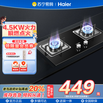 海尔智家统帅(leader)燃气灶JZT-QIGL2D 天然气4.5kW大火力台式嵌入式厨房家用双灶灶具双眼灶