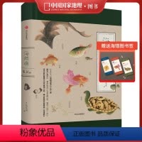 海错图笔记.贰 [正版]海错图笔记2 博物小亮海错图贰 张辰亮著 博物小亮全新科普书中国国家地理出海错图2