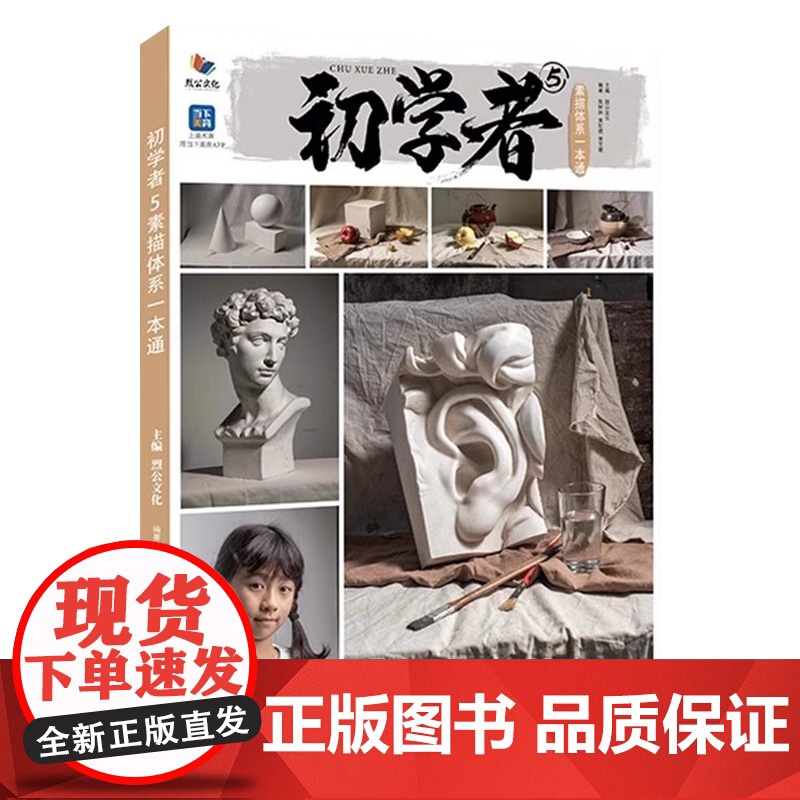 初学者5素描体系一本通2024烈公文化陈树仲黄妃捷黄文斌