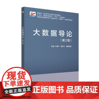 大数据导论 第2版 王道平 大数据技术与应用 大数据的采集存储处理分析 计算机科学与技术 软件工程课程教材 北京大学店正