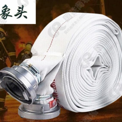 象头 消防水带 1寸半 8型-38内径-20米 1盘 配套接头