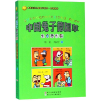 醉染图书生日恶作剧/中国兔子德国草9787534247330