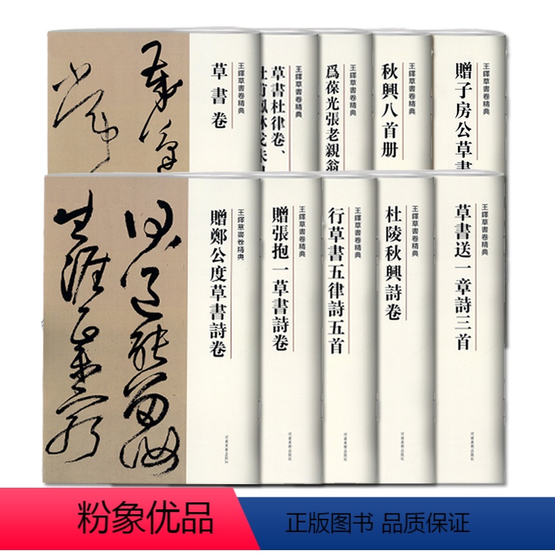 [正版]满2件减2元王铎草书卷精典套装五百套珍藏版共10本河南美术出版社秋兴八首册王铎书法全集毛笔字帖书法成人学生临摹
