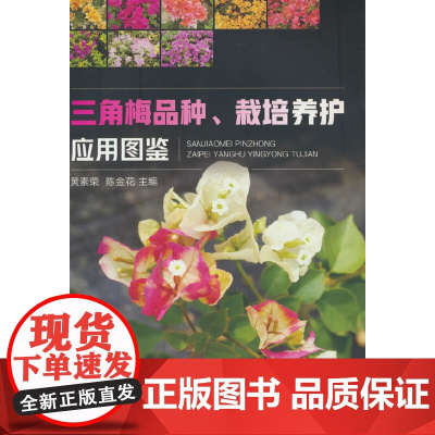 三角梅品种、栽培养护应用图鉴