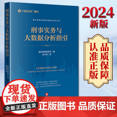 2024新书 刑事实务与大数据分析指引 盈科律师事务所编 张文明著 法律出版社