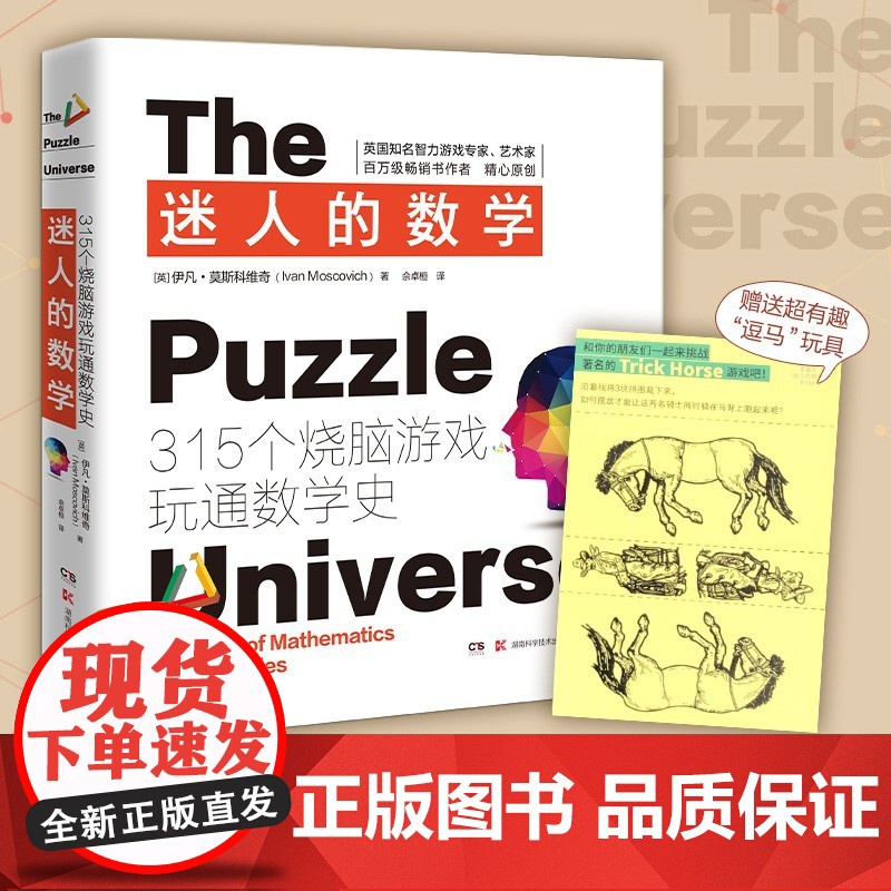 迷人的数学:315个烧脑游戏玩通数学史2021新版315个经典游戏开发大脑潜能玩通数学史大脑游戏数学思维训练一本有故事的
