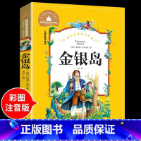 金银岛 [正版]兔子坡注音版 适合小学生一年级二年级三年级下册课外书的书目老师经典书籍上册儿童漫画绘本故事书全套新蕾出版
