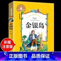 金银岛 [正版]兔子坡注音版 适合小学生一年级二年级三年级下册课外书的书目老师经典书籍上册儿童漫画绘本故事书全套新蕾出版