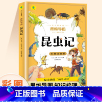 [彩图注音版]昆虫记 [正版]昆虫记注音版小学一年级二三年级原著完整版法布尔昆虫记全套适合小学生看的儿童文学书少儿经典名