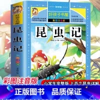 [选3本29.8元]昆虫记 [正版]中华上下五千年小学生版注音完整版 一二三年级阅读课外书世界中国儿童历史类书籍全套国学