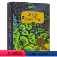 金龟虫在黄昏飞起 [正版]国际大奖小说成长版 金龟虫在黄昏飞起 国际安徒生奖儿童故事书籍 9-10-11-12岁三四五六