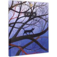 正版新书]深夜入睡(瑞士)罗纳德·孔乔(Ronald Curchod) 著 著作9