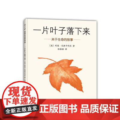 一片叶子落下来 利奥•巴斯卡利亚 著 任溶溶 译 《纽约时报》书 生命 智慧 哲学 心灵 治愈 爱心树童书