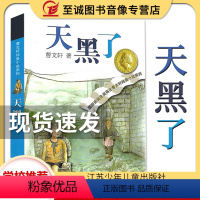 [正版]天黑了 曹文轩 纯美小说系列儿童校园文学 小学生课外阅读3-6-12-14岁 草房子蜻蜓眼系列