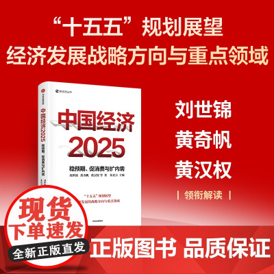 中国经济2025 稳预期 促消费与扩内需 刘世锦 黄奇帆 黄汉权等著 中信出版社