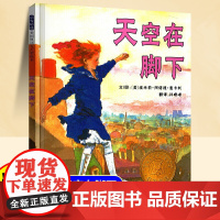 天空在脚下凯迪克大奖绘本精装硬壳三四年级小学生阅读课外书读物6-8-10岁儿童情商与性格培养心理成长逆商挫折启蒙家庭教育