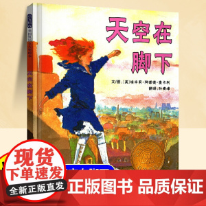 天空在脚下凯迪克大奖绘本精装硬壳三四年级小学生阅读课外书读物6-8-10岁儿童情商与性格培养心理成长逆商挫折启蒙家庭教育