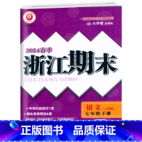 语文.人教版 七年级下 [正版]2024春季初中浙江期末7七年级下册语文人教版同步考卷初一7年级下册语文专项巩固提优期末