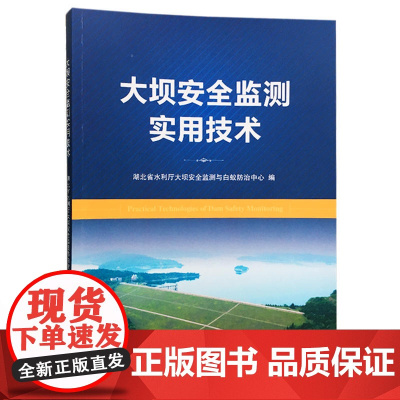 大坝安全监测实用技术