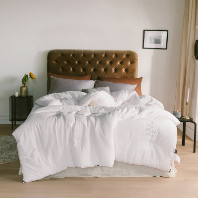 采馨 白色大豆纤维冬被 全棉被子 200cm*230cm 条 (冬被-白色)