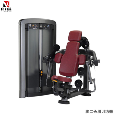 康力强LS509商用坐式肱二头肌手臂弯举练习肌肉专项训练局部型力量器械