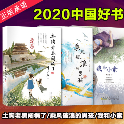 乘风破浪的男孩土狗老黑闯祸了我和小素一路繁花系列厨房帝国大水中国好书作者力作海军家属的励志故事学校学生课外阅读书籍共3