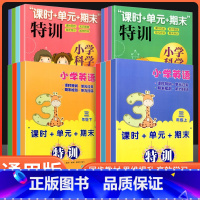 英语 四年级下 [正版]小学科学课时+单元+期末特训一二三四五六年级上下册可选教科版小学生课堂同步训练课时作业本单元12